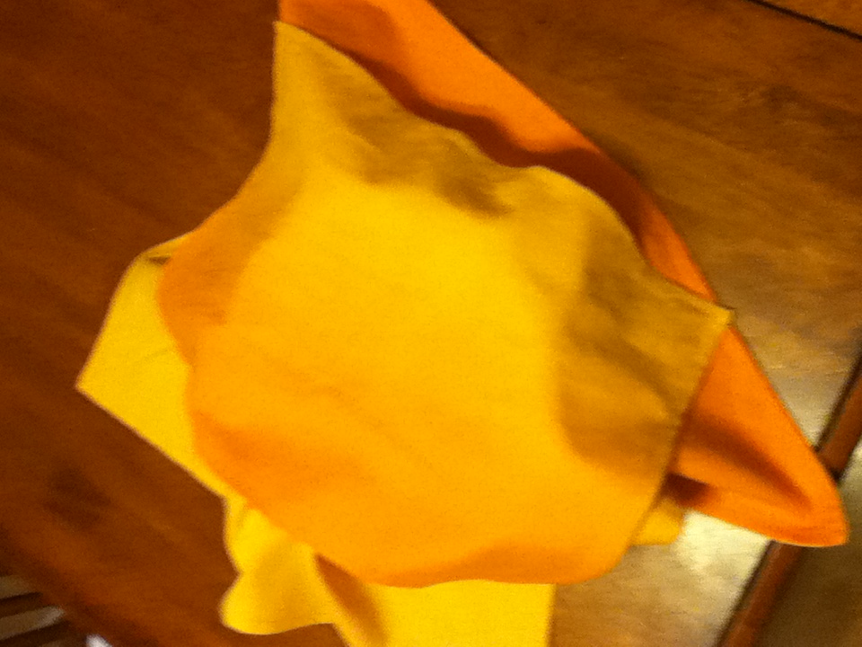 Basket cover and liner.JPG