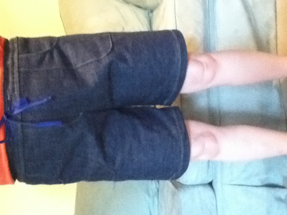Simplicity 3796 Shorts Front.jpg