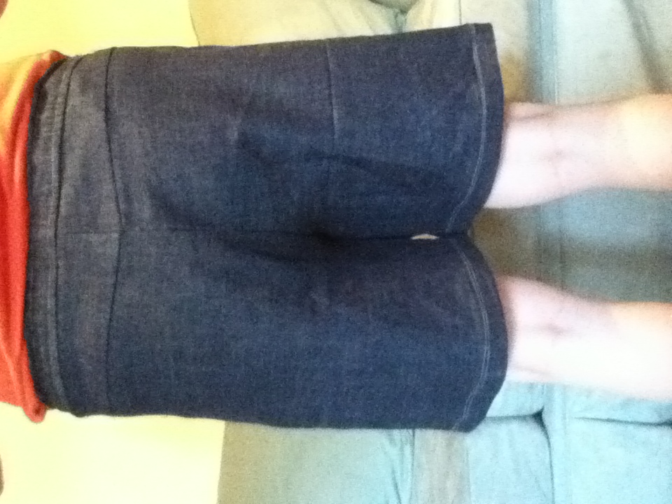 Simplicity 3796 Shorts Back.jpg