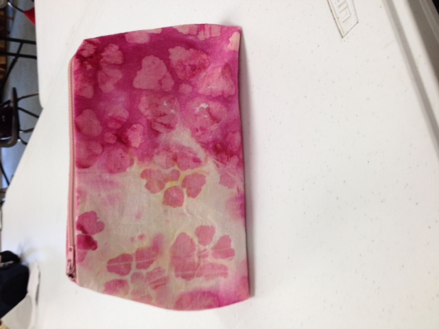Case for Makeup Side 2 Aug 2018.JPG