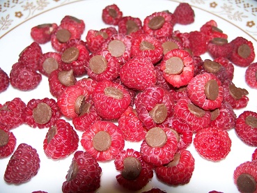 chocraspberries.jpg