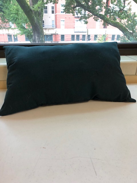 June 2019 Faith Family Pillow.jpg